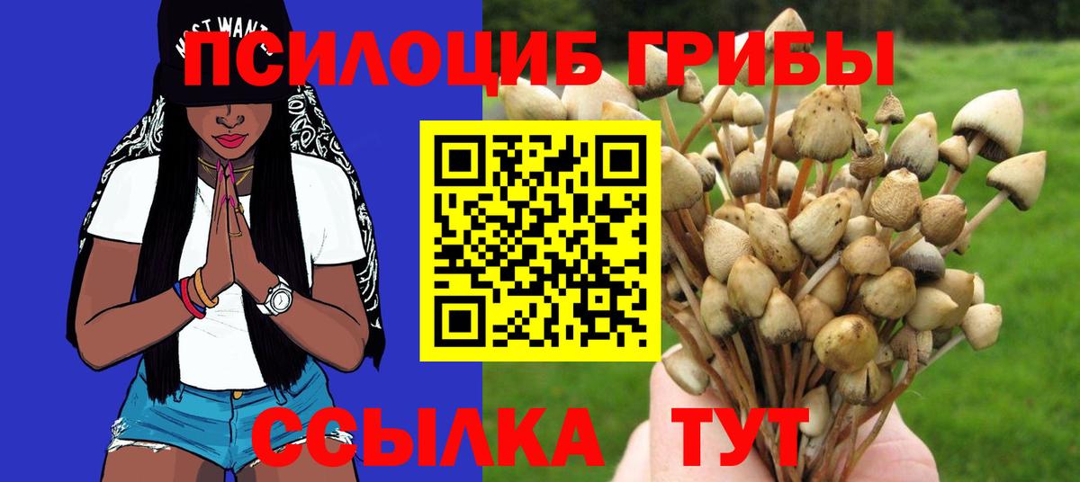 Галлюциногенные грибы ЛСД  купить наркотики сайты  Полевской  Вход с VPN  Галлюциногенные грибы ЛСД 